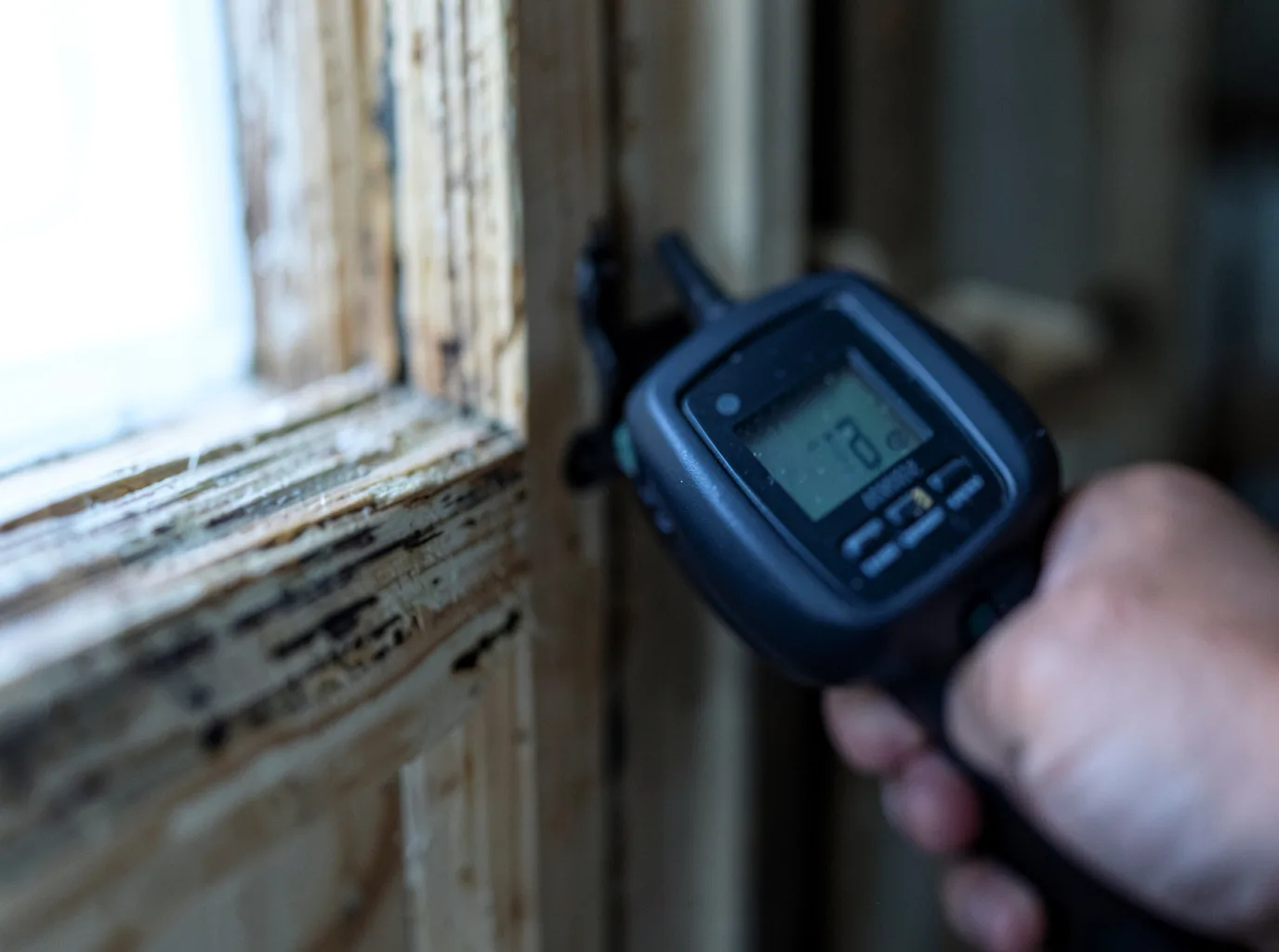 Moisture Inspection And Documentation in Baileys Harbor, WI